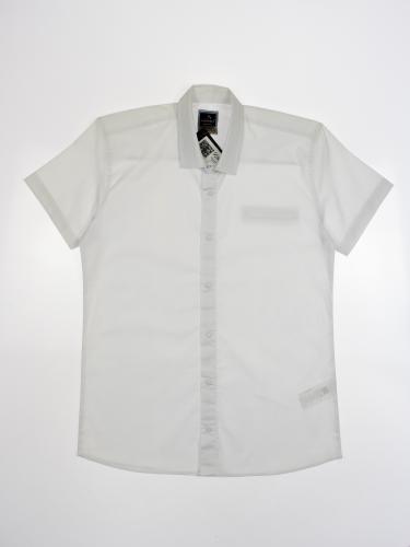 CEGISA 2536/2 Рубашка  фото