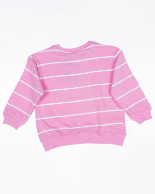 2024_02_07_0084729 2024_02_07_0084729