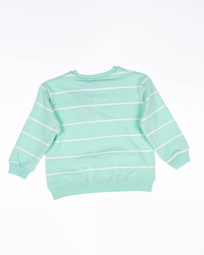 DMB KIDS 0247 Свитшот DMB KIDS 0247 Свитшот фото